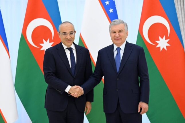 Mikayıl Cabbarov Özbəkistan Prezidenti Şavkat Mirziyoyev tərəfindən qəbul olundu