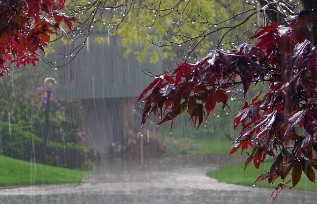 Sabah leysan yağacaq – hava PROQNOZU Sabah leysan yağacaq – hava PROQNOZU