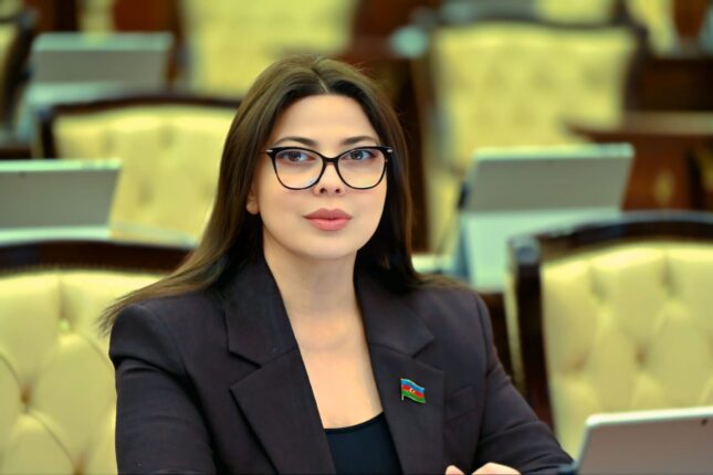 Azərbaycan rəqəmsallaşma və süni intellekt sahəsində regionun liderinə çevrilir – Səbinə Salmanova Azərbaycan rəqəmsallaşma və süni intellekt sahəsində regionun liderinə çevrilir – Səbinə Salmanova