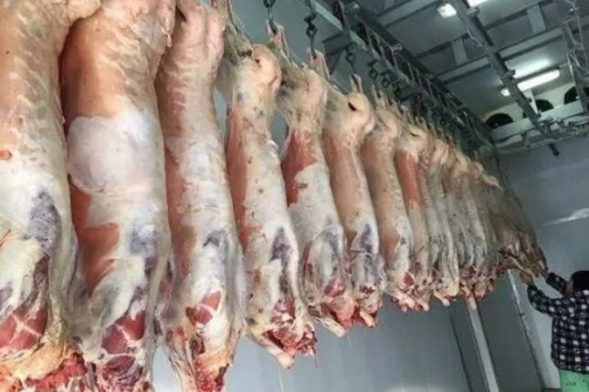 Bazarlarda 11-12 manata quzu əti… – VİDEO