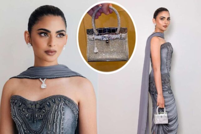İş adamının qızının 2 milyon dollarlıq çantası gündəm oldu – FOTO İş adamının qızının 2 milyon dollarlıq çantası gündəm oldu – FOTO