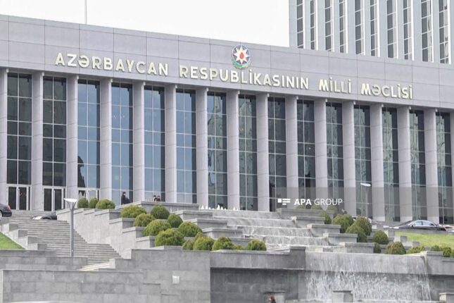 Qanunvericiliyə “frilanser” anlayışı daxil edilir