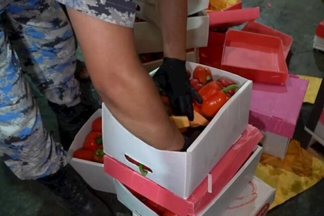 Astara gömrüyündə bibər yükünün içindən 25 kq narkotik çıxdı – Video Astara gömrüyündə bibər yükünün içindən 25 kq narkotik çıxdı – Video