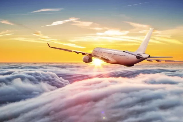 Pilot hər bir sərnişinin təyyarəyə özü ilə götürməli olduğu əşyanı açıqladı Pilot hər bir sərnişinin təyyarəyə özü ilə götürməli olduğu əşyanı açıqladı