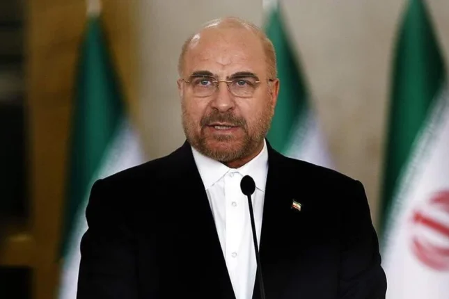 Spikerdən etiraf, deputatdan İran xalqına təhqir Spikerdən etiraf, deputatdan İran xalqına təhqir