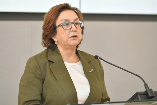 Ekspertdən Məleykə Abbaszadəyə: “Ya plan yeri verin, ya da” Ekspertdən Məleykə Abbaszadəyə: “Ya plan yeri verin, ya da”