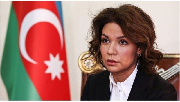 Səfir təyin edilən Nərminə Mustafayeva kimdir? – DOSYE