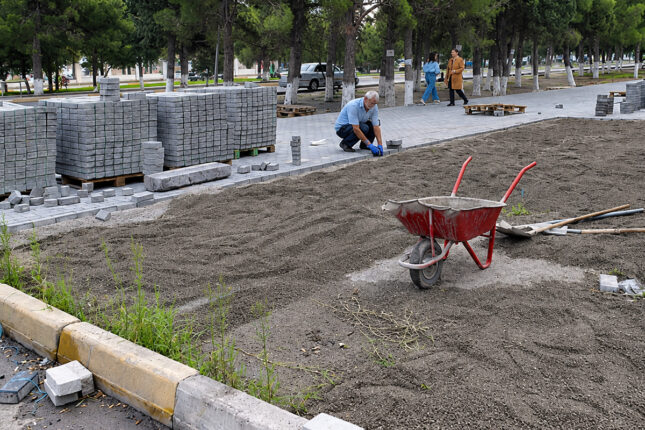 “Qurumlar bu problemi bir-birinin üzərinə atır” “Qurumlar bu problemi bir-birinin üzərinə atır”
