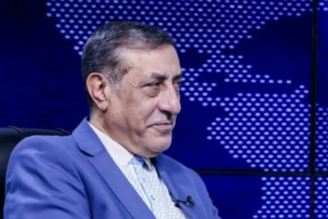 Vitse-prezident: “Bizə vaxtında islahat aparmağa imkan vermədilər”