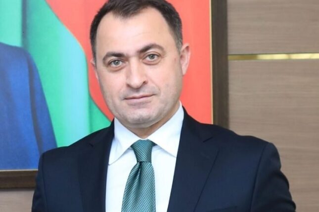 Nizamidə ağacların dibini betonladılar – Video
