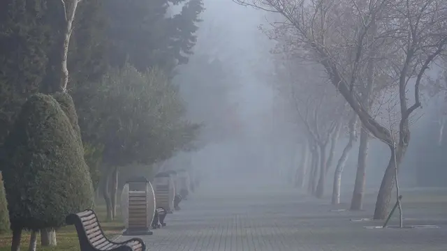 Noyabrın ilk gününə gözlənilən hava proqnozu